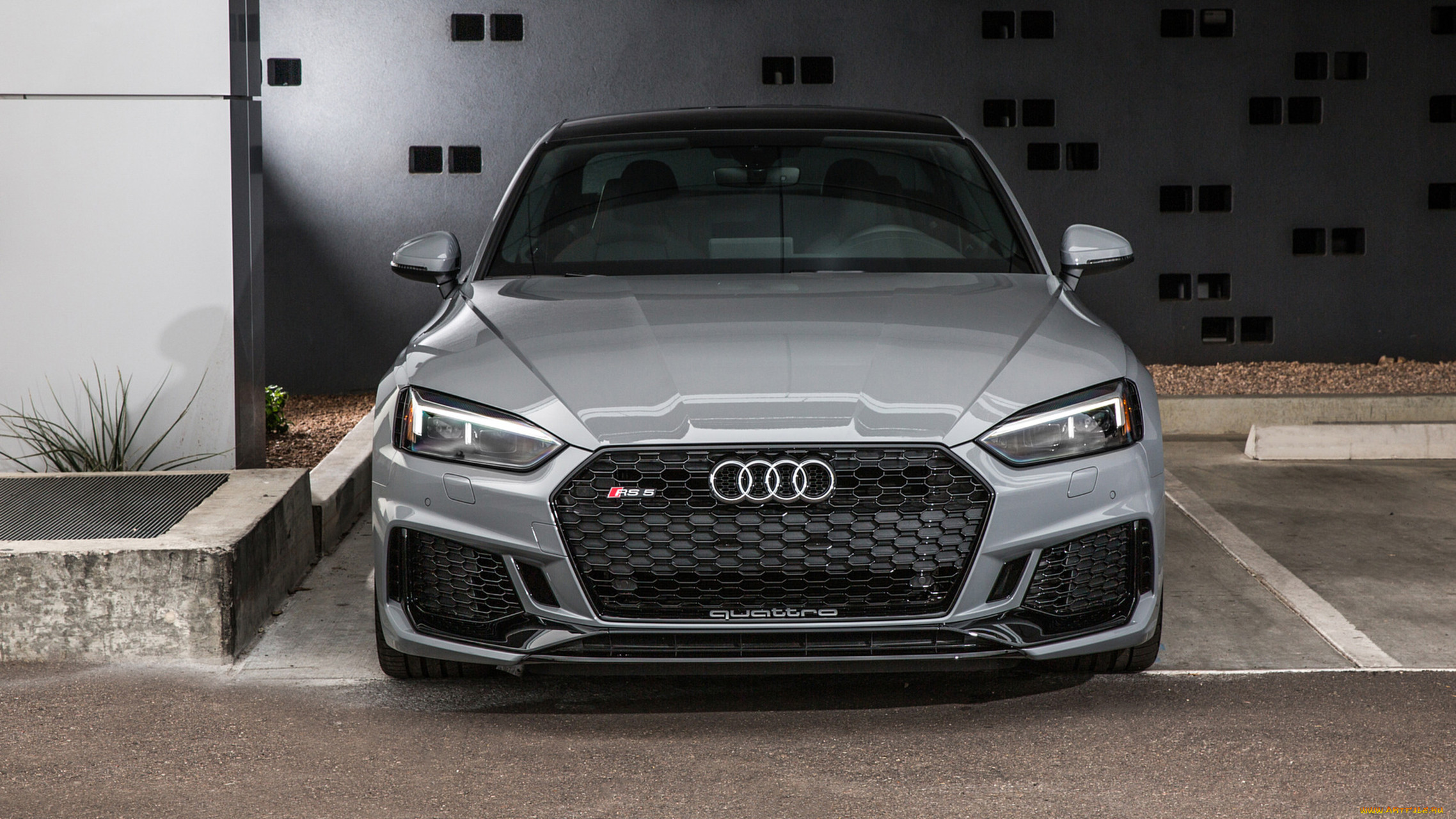 audi rs5 2018, , audi, , 2018, rs5